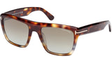 Alberto FT1077 55G Colored Havana Brown