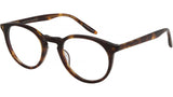 Princeton Havana Round Eyeglasses
