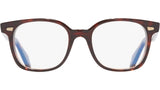 9990 Optical 02