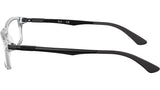 RB7017 Optics 5943