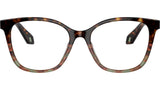 AR 7246U 5879 Tortoise