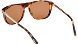 Lionel-02 FT1105 55E Spotted Havana Brown