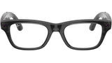 Meta Blayzer Optics Gen2