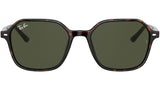 John RB2194 902/31 tortoise