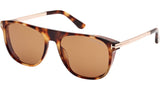 Lionel-02 FT1105 55E Spotted Havana Brown