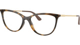 VO5239 W656 tortoise