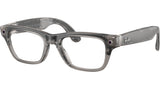 Meta Blayzer Optics Gen2