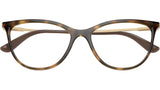 VO5239 W656 tortoise