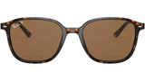 Leonard RB2193 tortoise classic polar