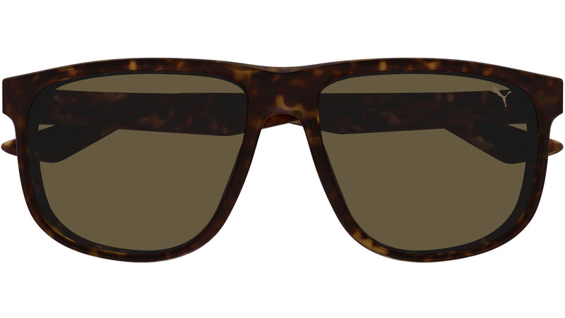 PU0441S 002 Dark Havana Brown