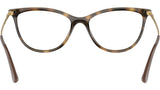 VO5239 W656 tortoise