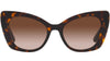 DG 4405 502/13 tortoise - 53-20-140