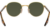 RB3691 001/31 arista