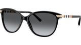 BE4216 3001T3 Black