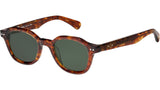 Sky Sun Bekko Tortoise