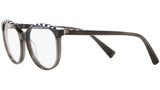 3069 011 tortoise