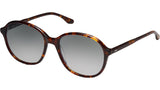 Solenne Sun Tortoise