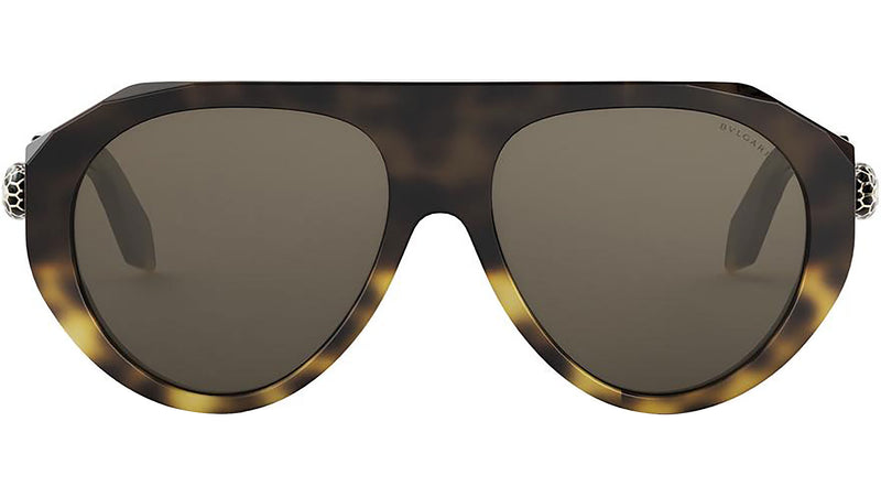 Serpenti Forever Havana Pilot Sunglasses