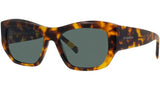 GV Day Havana Geometric Sunglasses