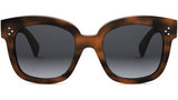 CELINE 3 Dots Brown Square Sunglasses