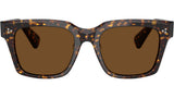 Ollice OV5564SU 174157 Atago Tortoise