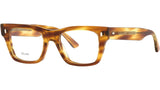 Celine Tortoise Square Eyeglasses