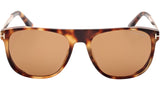 Lionel-02 FT1105 55E Spotted Havana Brown