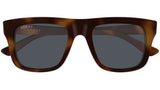 GG2242S 002