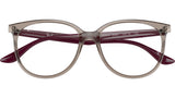 RB4378V Optics 8083