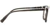 3069 011 tortoise
