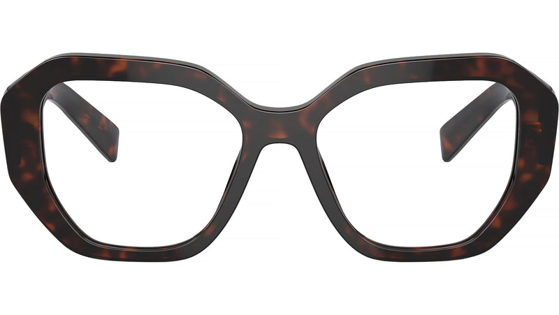 PR A07V 16N1O1 Tortoise