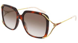 GG0647S shiny tortoise and brown